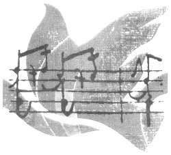 Titularorganist in der Kathedrale zu Gent zu Gast in Düffelward