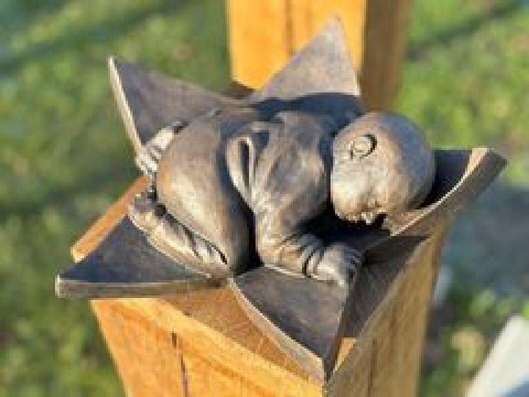 Bestattung der „Sternenkinder“