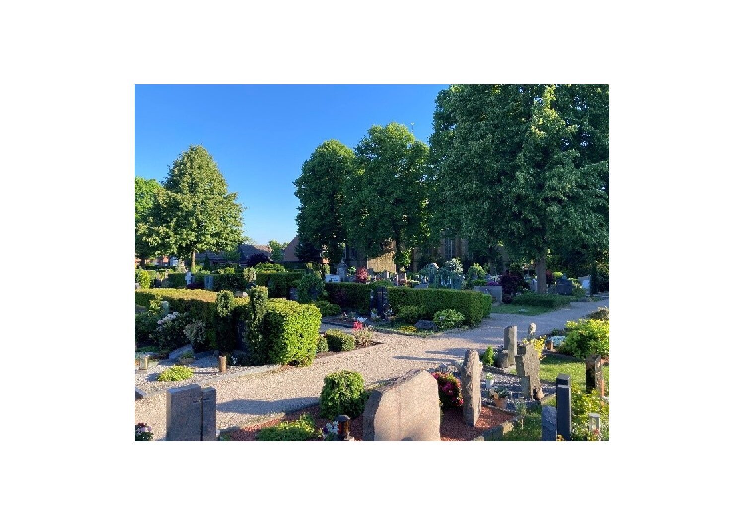 Friedhofsführung in Materborn