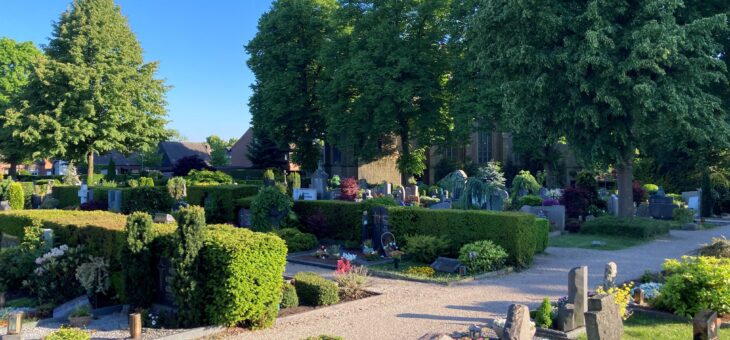 Friedhof der Heiligen Familie in Kleve wird schmetterlingsfreundlich